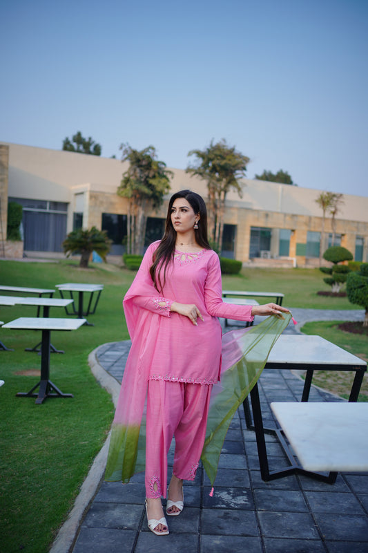 Pink Embroidered Mirror Work Dress with Dupatta (STITCHED)