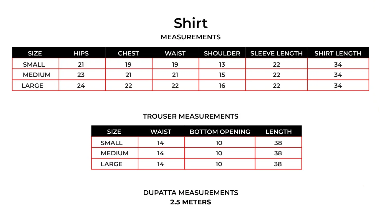 Black Red Embroidered 3 Piece (STITCHED)