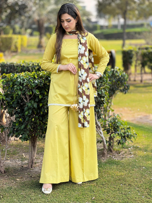 Lime Brown Shirt and Trouser with Scarf (STITCHED)